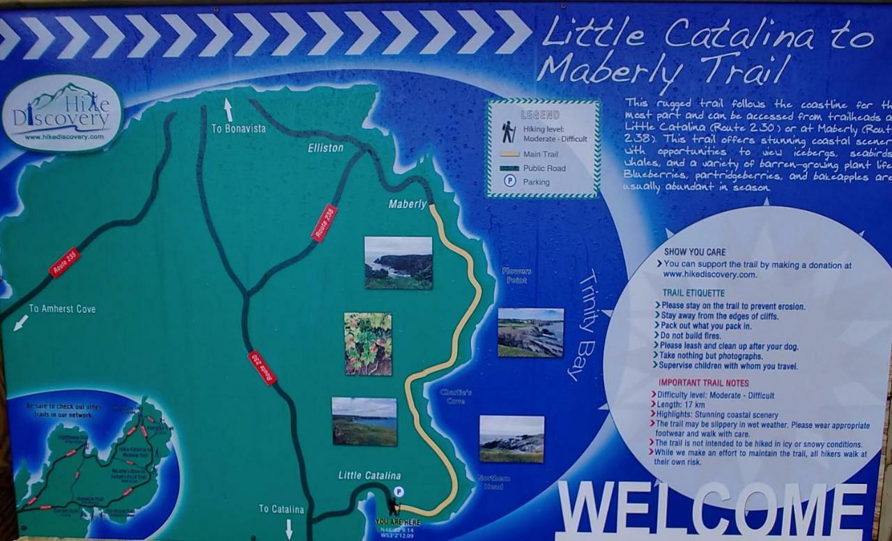 Lavenia Rose Cottages, Sunrise Cottage Catalina المظهر الخارجي الصورة